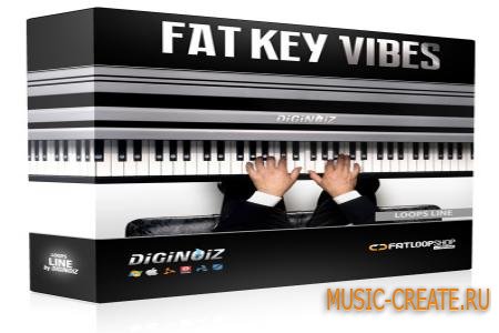 Diginoiz Fat Key Vibes от FatLoud / Diginoiz - сэмплы клавишных