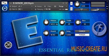 E Essential RnB Drizzle от Twenty-Six - звуки для RnB (KONTAKT)