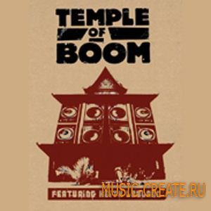DrumDrops Temple Of Boom (WAV REX) - сэмплы Breaks, Downtempo, Drums, Hip-Hop, Funk, Broken Beats, Percussion, Soul