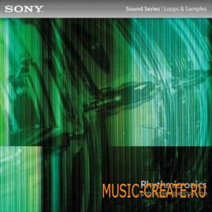 Rhythmicronics: Processed Percussion от Sony Creative Software - сэмплы перкуссий (WAV ACiD)