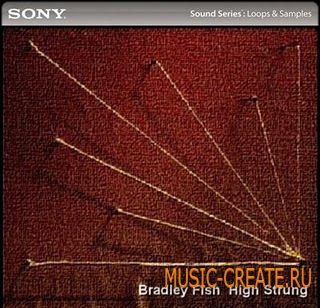 Bradley Fish: High Strung от Sony Creative Software - звуки от Bradley Fish (WAV ACiD)