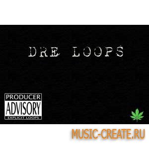 Сэмплы Motion Studio Dr. Dre: one shot + Loops (Wav) (RnB, hip-hop, Rap)