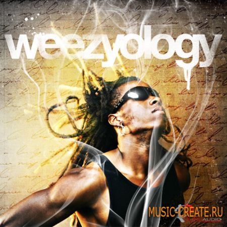 Pound Audio - Weezyology Dirty South (WAV) - сэмплы Dirty South