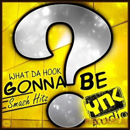 YnK Audio What Da Hook Gonna Be: Smash Hitz (wav midi Flp) - вокальные сэмплы