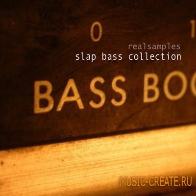 Realsamples Slap Bass Collection (MULTiFORMAT) - сэмплы бас-гитары