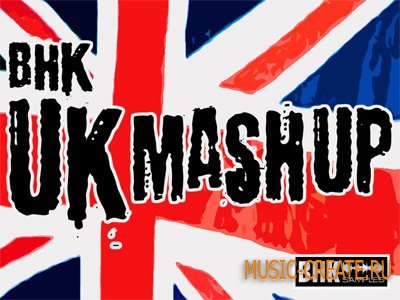 Industrial Strength Records BHK UK Mashups (Wav Rex2) - сэмплы Electro, Techno, Fidget House, Dubstep