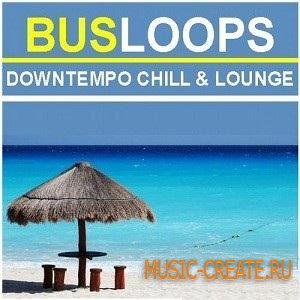 Bus Loops - Downtempo Chill & Lounge Tools (WAV) - сэмплы Downtempo