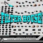 Peace Love Productions - Filter House (WAV) - сэмплы House