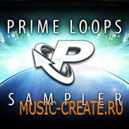 Prime Loops - Label Sampler (WAV) - сэмплы Drum and Bass, Electro, Dubstep, Electro House, Garage