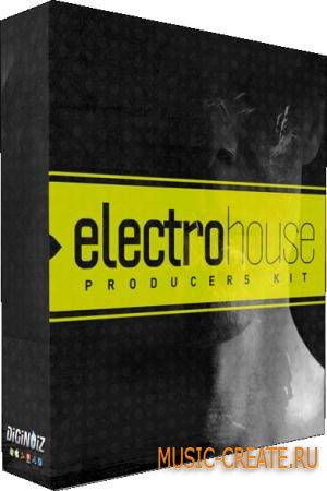 Diginoiz - Electro House Producers'Kit (WAV AIFF) - сэмплы Electro House