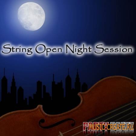 Party Beatz - String Open Night Session (WAV MIDI FLP) - сэмплы оркестровых струнных