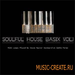Mentalinstrum - Soulful House Basix Vol.1 (MIDI)