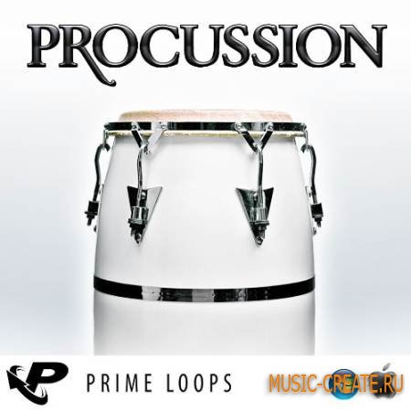 Prime Loops - Procussion (WAV REX AiFF) - драм сэмплы