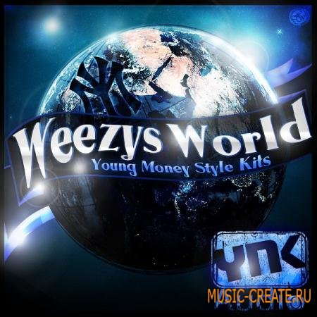 YnK Audio - Weezy's World (WAV REX AIFF) - сэмплы Dirty South
