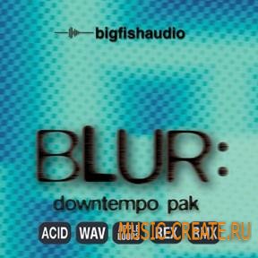 Big Fish Audio - Blur Downtempo Pak (WAV REX AiFF RMX) - сэмплы Downtempo