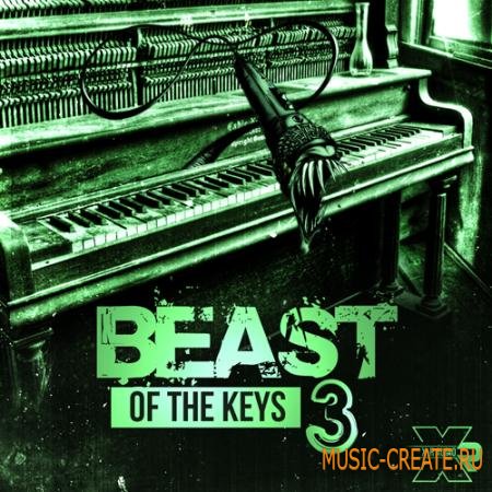 X-R Audio - Beast Of The Keys 3 (WAV FLP) - сэмплы RnB,Soul