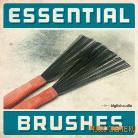 Big Fish Audio - Essential Brushes (MULTiFORMAT / KONTAKT / TEAM DYNAMiCS) - сэмплы ударных