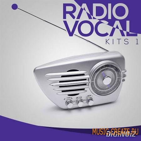 Diginoiz - Radio Vocal Kits 1 (WAV) - вокальные сэмплы