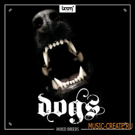 Boom Library - Dogs (WAV / SCD DVD9 Team SONiTUS) - звуковые эффекты собак