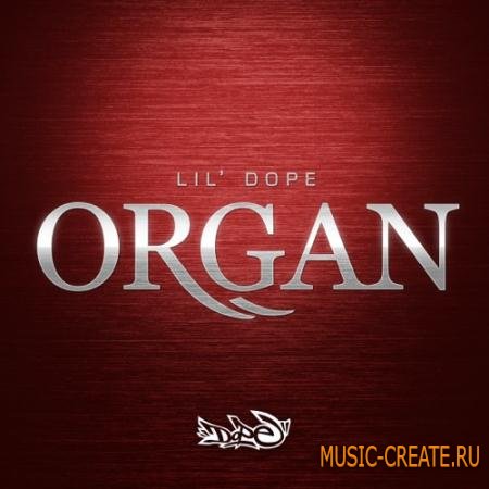 FatLoud - Lil Dope Organ (MULTiFORMAT) - сэмплы органа