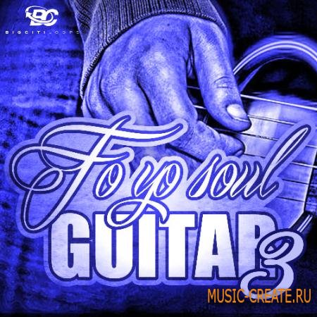Big Citi Loops - Fo Yo Soul Guitar 3 (ACiD WAV) - сэмплы Soul гитары