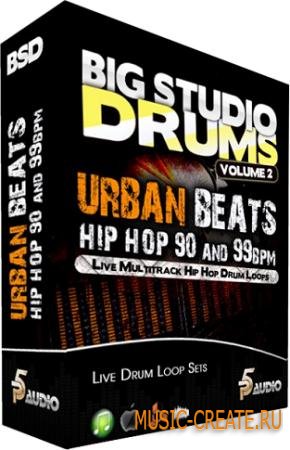 P5 Audio - Big Studio Drums: Urban Beats Hip Hop 90-99 Bpm (MULTiFORMAT) - сэмплы Hip Hop