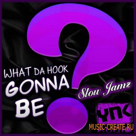 YnK Audio - What Da Hook Gonna Be: Slow Jamz (WAV MIDI) - сэмплы Hip Hop, R&B
