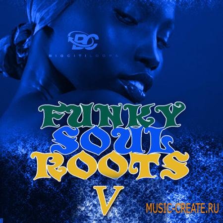 Big Citi Loops - Funky Soul Roots 5 (WAV MiDi CUBASE) - сэмплы Neo Soul, Gospel, Funky Jazz