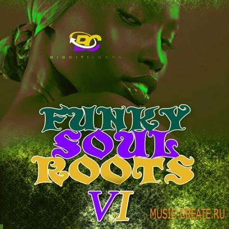 Big Citi Loops - Funky Soul Roots 6 (WAV) - сэмплы Neo Soul, Gospel, Funky Jazz