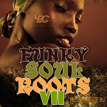 Big Citi Loops - Funky Soul Roots 7 (WAV MiDi) - сэмплы Neo Soul, Gospel, Funky Jazz