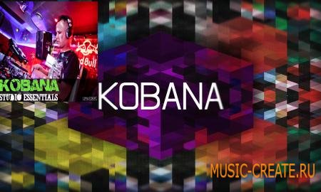 WM Entertainment - Kobana - Studio Essentials (WAV MiDi Ableton Live) - сэмплы tech house