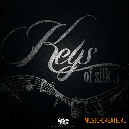 Big Citi Loops - Keys Of Silk 5 (WAV) - сэмплы Neo Soul, Smooth Jazz, R&B, Soul Funk, Classical
