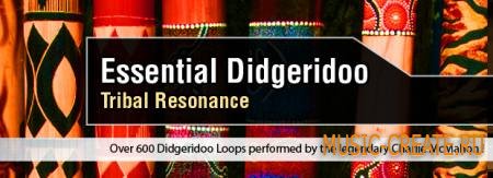 Future Loops - Essential Digeradoo Tribal Resonance (WAV) - сэмплы австралийского духового инструмента