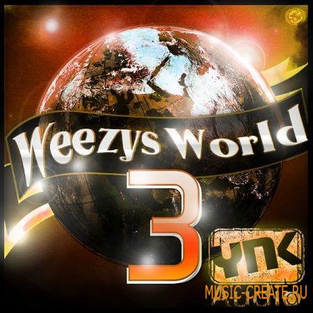 YnK Audio - Weezy's World 3 (MULTiFORMAT) - сэмплы Hip Hop