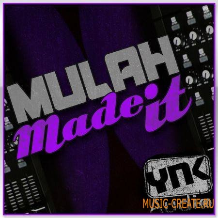 YnK Audio - Mike Mulah Made It (MULTiFORMAT) - сэмплы Dirty South, R&B