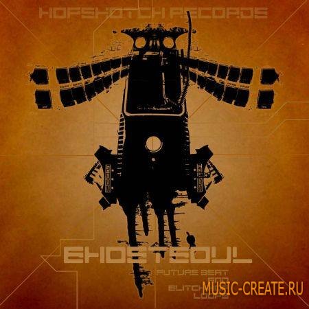 Hopskotch Records - Ghostsoul Glitch Hop And Future Beats Loops (WAV) - сэмплы Glitch Hop