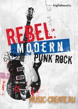 Big Fish Audio - Rebel Modern Punk Rock (MULTiFORMAT) - сэмплы Rock
