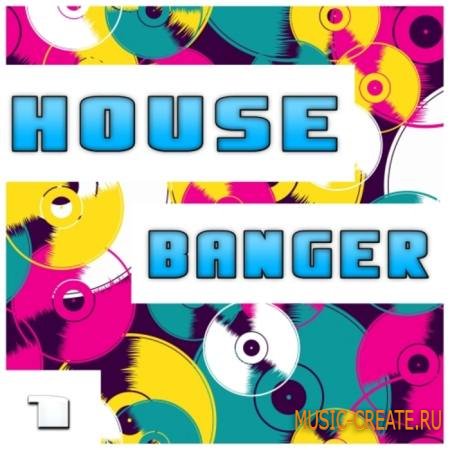 Shockwave - House Banger Vol 1 (WAV MiDi) - сэмплы Electro House, Dance, House, Progressive House