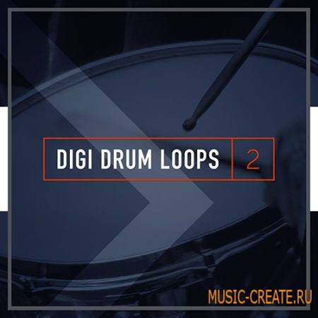 Diginoiz - Digi Drum Loops 2 (WAV REX AIFF REFILL) - лупы ударных