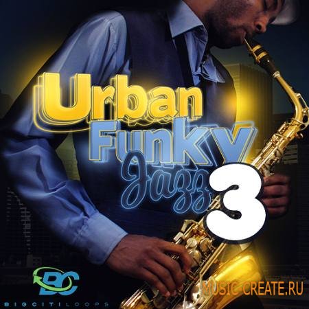 Big Citi Loops - Urban Funky Jazz Vol 3 (WAV MiDi CUBASE) - сэмплы Jazz
