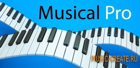 Musical Pro 6.0.7 (Android OS 2.1+)