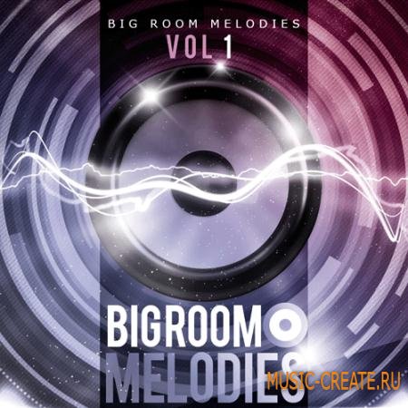 Essential Audio Media - Big Room Melodies Vol 1 (MiDi) - мелодии Dance, Pop, House, Progressive, Electro