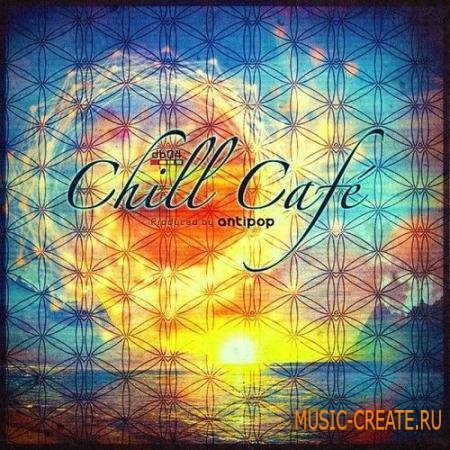 dboxsamples - Chill Cafe (MULTiFORMAT) - сэмплы chillout, ambient