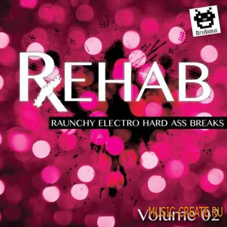 Dirtisounds R.E.H.A.B Raunchy Electro Hard Ass Breaks Vol.2 (WAV) - сэмплы Breaks