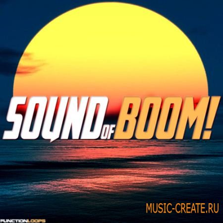 Function Loops - Sound Of BOOM! (WAV MIDI) - сэмплы Psy-Trance
