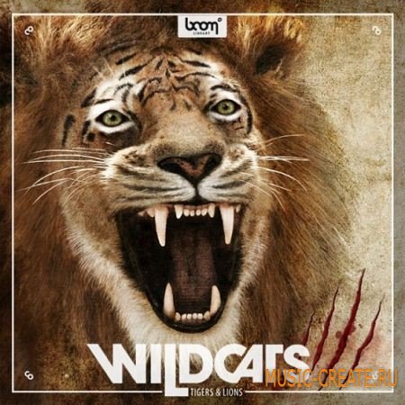BOOM Library - Wildcats Tigers Lions (WAV) - звуки тигров, львов