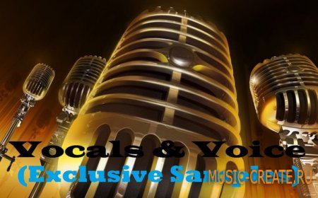 Vocals & Voice - Exclusive Samples (MP3 WAV) - сэмплы вокала и акапеллы