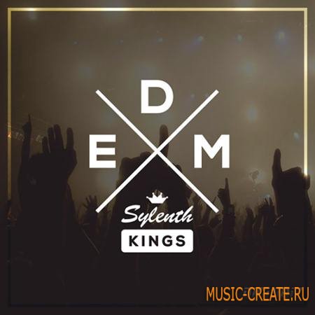 Diginoiz - EDM Sylenth Kings (Sylenth presets)