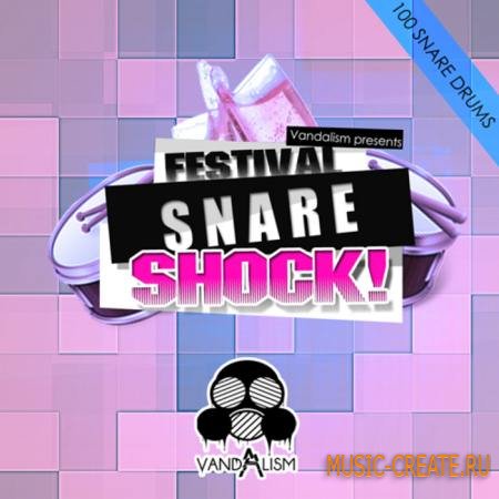 Vandalism - Festival Snare Shock! (WAV) - сэмплы Progressive House