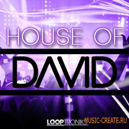 Looptroniks - House Of David (WAV MIDI) - сэмплы House